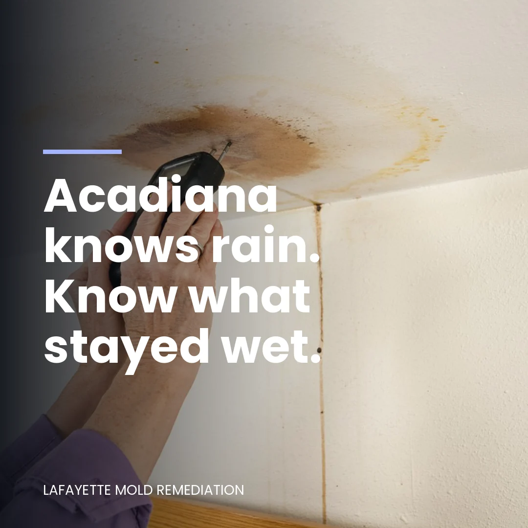 Acadiana knows rain. Know what stayed wet.